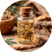 Экстракт гвоздики