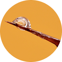 Масло чёрного тмина