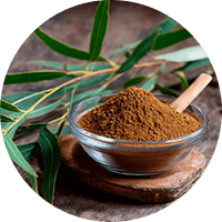 Экстракт крапивы