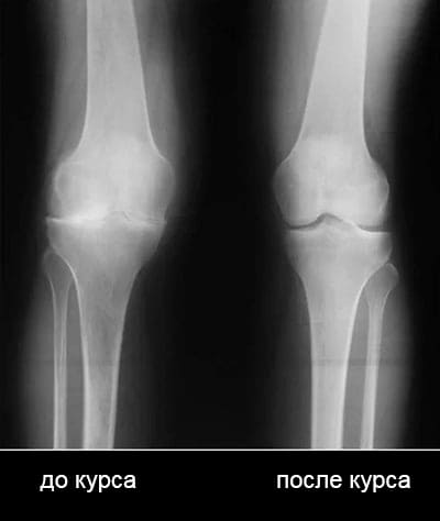 Иван Буденный